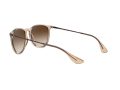 Ray-Ban Erika Solglasögon RB 4171 6514/13
