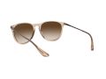Ray-Ban Erika Solglasögon RB 4171 6514/13