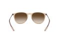 Ray-Ban Erika Solglasögon RB 4171 6514/13