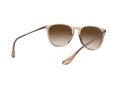 Ray-Ban Erika Solglasögon RB 4171 6514/13