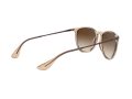 Ray-Ban Erika Solglasögon RB 4171 6514/13