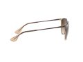Ray-Ban Erika Solglasögon RB 4171 6514/13