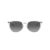 Ray-Ban Erika Solglasögon RB 4171 651611