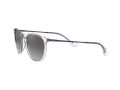 Ray-Ban Erika Solglasögon RB 4171 651611