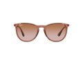 Ray-Ban Erika Solglasögon RB 4171 6590/13