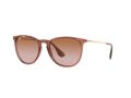 Ray-Ban Erika Solglasögon RB 4171 6590/13