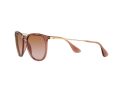 Ray-Ban Erika Solglasögon RB 4171 6590/13