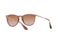 Ray-Ban Erika Solglasögon RB 4171 6590/13