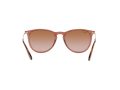 Ray-Ban Erika Solglasögon RB 4171 6590/13