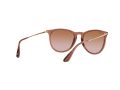 Ray-Ban Erika Solglasögon RB 4171 6590/13
