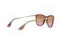 Ray-Ban Erika Solglasögon RB 4171 6590/13