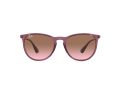 Ray-Ban Erika Solglasögon RB 4171 6591/14