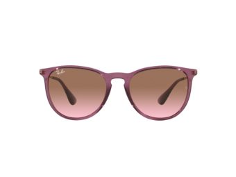 Ray-Ban Erika Solglasögon RB 4171 6591/14
