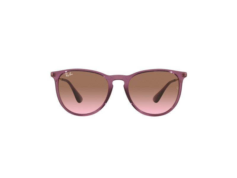 Ray-Ban Erika Solglasögon RB 4171 6591/14