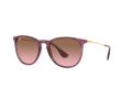 Ray-Ban Erika Solglasögon RB 4171 6591/14