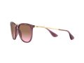 Ray-Ban Erika Solglasögon RB 4171 6591/14