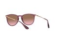 Ray-Ban Erika Solglasögon RB 4171 6591/14