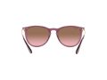 Ray-Ban Erika Solglasögon RB 4171 6591/14