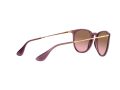 Ray-Ban Erika Solglasögon RB 4171 6591/14
