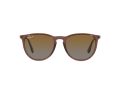Ray-Ban Erika Solglasögon RB 4171 6593/T5
