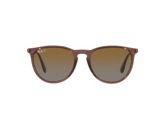 Ray-Ban Erika Solglasögon RB 4171 6593/T5