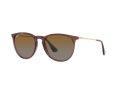 Ray-Ban Erika Solglasögon RB 4171 6593/T5