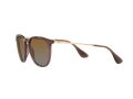 Ray-Ban Erika Solglasögon RB 4171 6593/T5