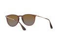 Ray-Ban Erika Solglasögon RB 4171 6593/T5
