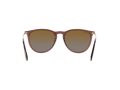Ray-Ban Erika Solglasögon RB 4171 6593/T5