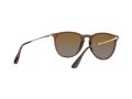 Ray-Ban Erika Solglasögon RB 4171 6593/T5