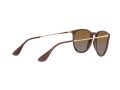 Ray-Ban Erika Solglasögon RB 4171 6593/T5