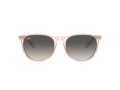 Ray-Ban Erika Solglasögon RB 4171 674211