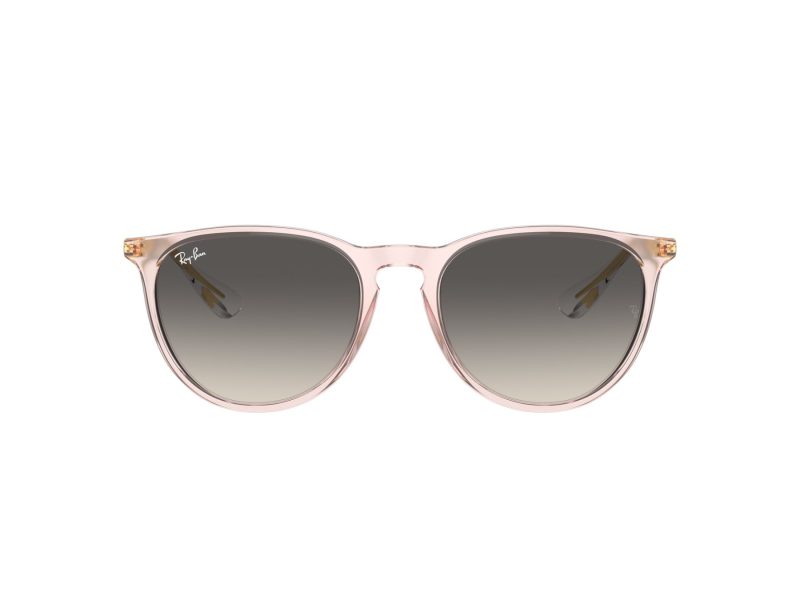 Ray-Ban Erika Solglasögon RB 0RB4171 674211