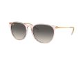 Ray-Ban Erika Solglasögon RB 4171 674211