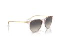 Ray-Ban Erika Solglasögon RB 4171 674211