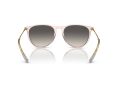 Ray-Ban Erika Solglasögon RB 4171 674211