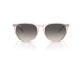 Ray-Ban Erika Solglasögon RB 4171 674211