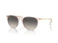 Ray-Ban Erika Solglasögon RB 4171 674211