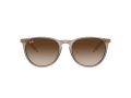 Ray-Ban Erika Solglasögon RB 4171 674413