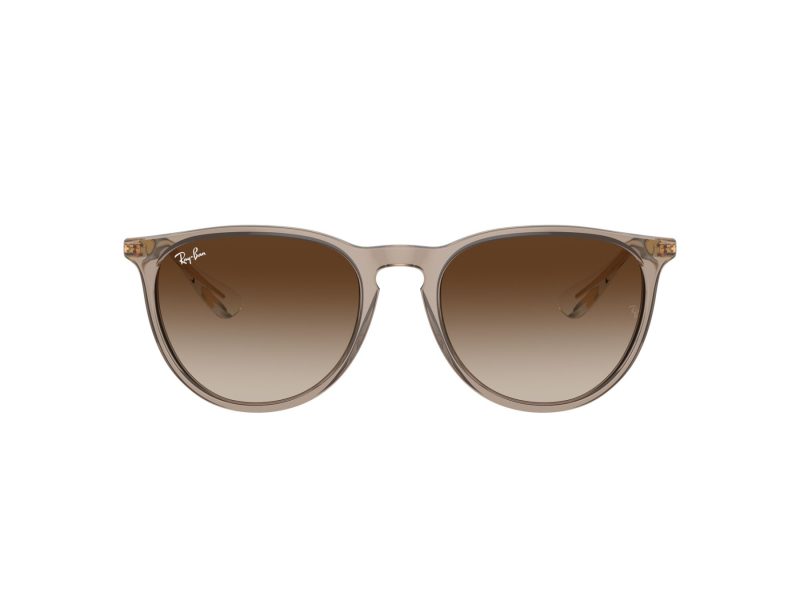 Ray-Ban Erika Solglasögon RB 0RB4171 674413