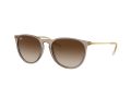 Ray-Ban Erika Solglasögon RB 4171 674413