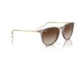 Ray-Ban Erika Solglasögon RB 4171 674413