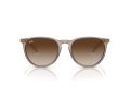 Ray-Ban Erika Solglasögon RB 4171 674413