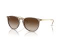 Ray-Ban Erika Solglasögon RB 4171 674413
