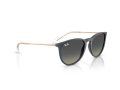 Ray-Ban Erika Solglasögon RB 4171 681311