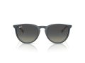Ray-Ban Erika Solglasögon RB 4171 681311