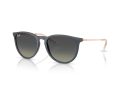 Ray-Ban Erika Solglasögon RB 4171 681311