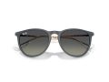 Ray-Ban Erika Solglasögon RB 4171 681311