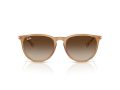 Ray-Ban Erika Solglasögon RB 4171 681413