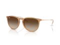 Ray-Ban Erika Solglasögon RB 4171 681413